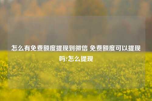 怎么有免费额度提现到微信 免费额度可以提现吗?怎么提现