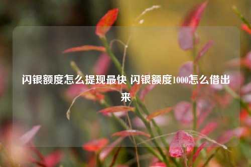 闪银额度怎么提现最快 闪银额度1000怎么借出来