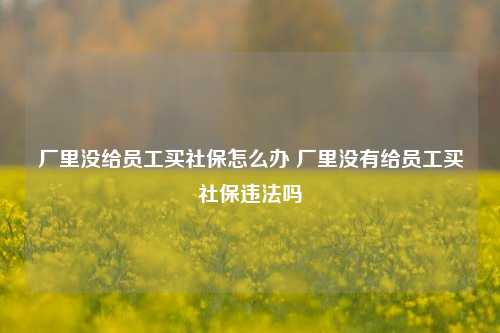 厂里没给员工买社保怎么办 厂里没有给员工买社保违法吗