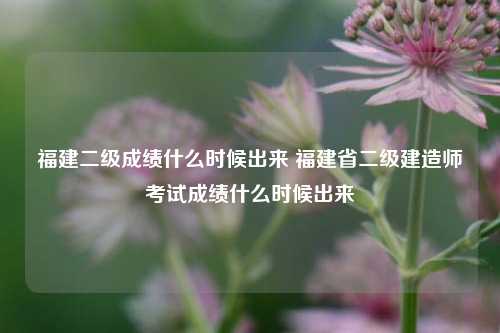 福建二级成绩什么时候出来 福建省二级建造师考试成绩什么时候出来