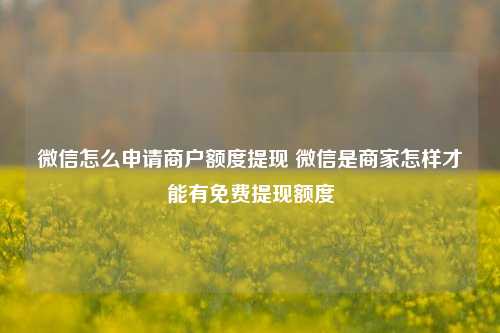 微信怎么申请商户额度提现 微信是商家怎样才能有免费提现额度