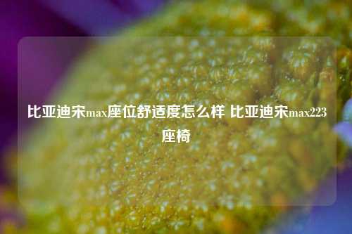 比亚迪宋max座位舒适度怎么样 比亚迪宋max223座椅