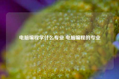 电脑编程学什么专业 电脑编程的专业