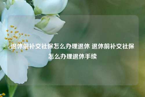 退休前补交社保怎么办理退休 退休前补交社保怎么办理退休手续