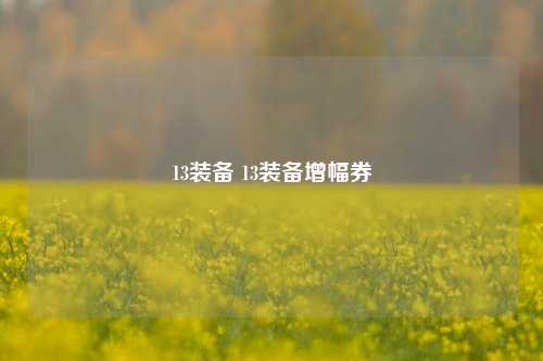 13装备 13装备增幅券