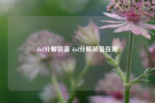 dnf分解装备 dnf分解装备在哪