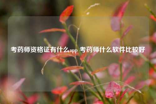 考药师资格证有什么app 考药师什么软件比较好