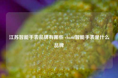 江苏智能手表品牌有哪些 vband智能手表是什么品牌