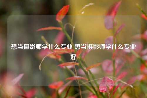 想当摄影师学什么专业 想当摄影师学什么专业好