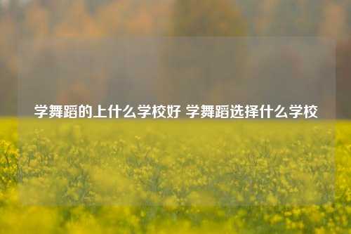 学舞蹈的上什么学校好 学舞蹈选择什么学校