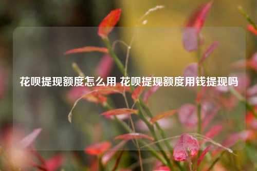 花呗提现额度怎么用 花呗提现额度用钱提现吗