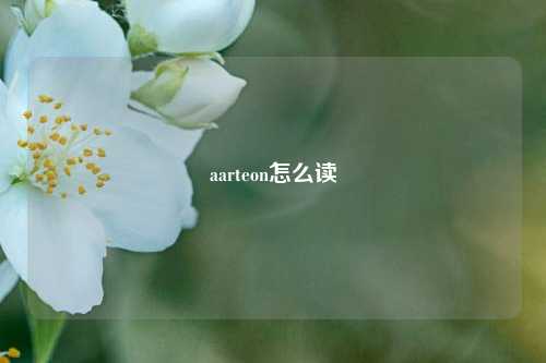 aarteon怎么读