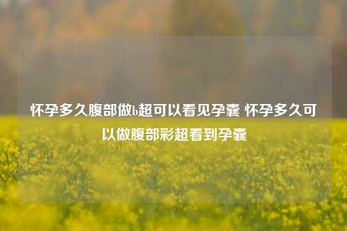 怀孕多久腹部做b超可以看见孕囊 怀孕多久可以做腹部彩超看到孕囊