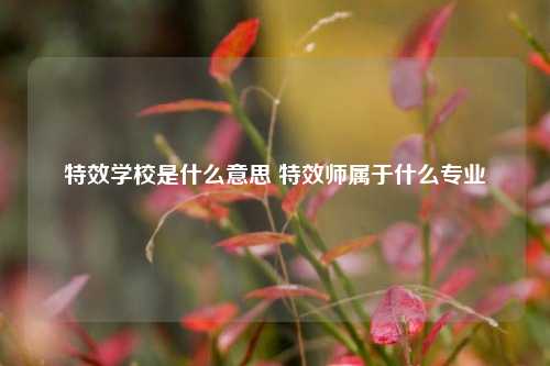 特效学校是什么意思 特效师属于什么专业