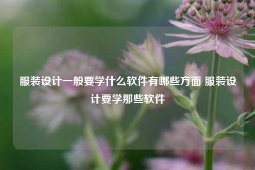 服装设计一般要学什么软件有哪些方面 服装设计要学那些软件