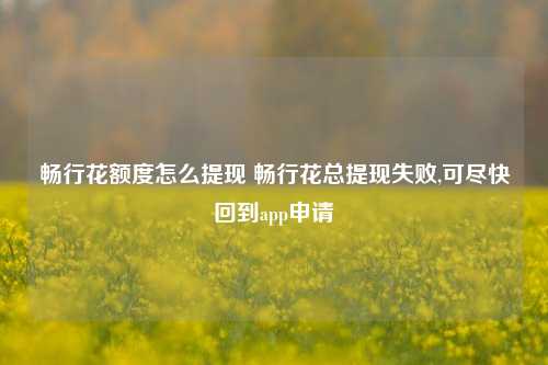 畅行花额度怎么提现 畅行花总提现失败,可尽快回到app申请