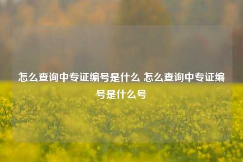 怎么查询中专证编号是什么 怎么查询中专证编号是什么号