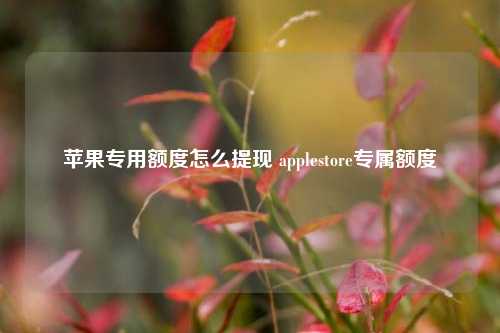 苹果专用额度怎么提现 applestore专属额度