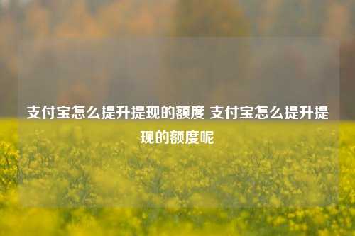 支付宝怎么提升提现的额度 支付宝怎么提升提现的额度呢