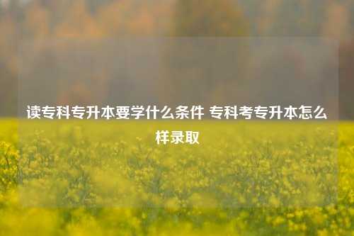 读专科专升本要学什么条件 专科考专升本怎么样录取