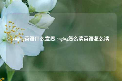 enging英语什么意思 enging怎么读英语怎么读