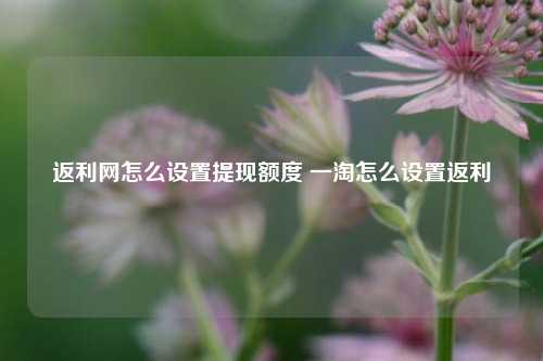 返利网怎么设置提现额度 一淘怎么设置返利