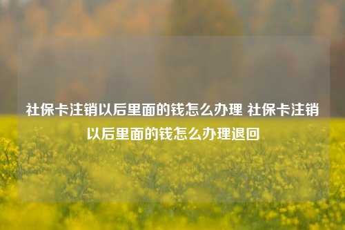 社保卡注销以后里面的钱怎么办理 社保卡注销以后里面的钱怎么办理退回