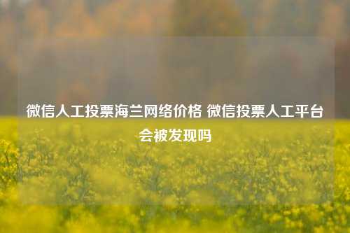 微信人工投票海兰网络价格 微信投票人工平台会被发现吗