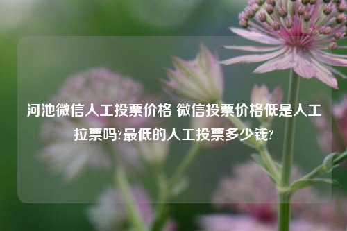 河池微信人工投票价格 微信投票价格低是人工拉票吗?最低的人工投票多少钱?