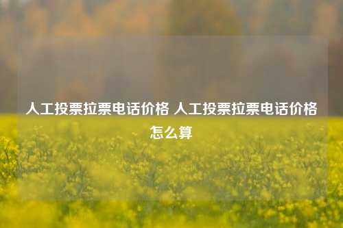 人工投票拉票电话价格 人工投票拉票电话价格怎么算