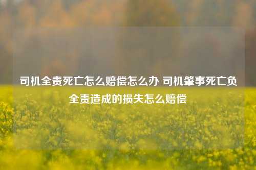 司机全责死亡怎么赔偿怎么办 司机肇事死亡负全责造成的损失怎么赔偿