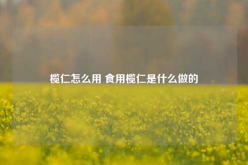 榄仁怎么用 食用榄仁是什么做的