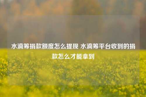 水滴筹捐款额度怎么提现 水滴筹平台收到的捐款怎么才能拿到