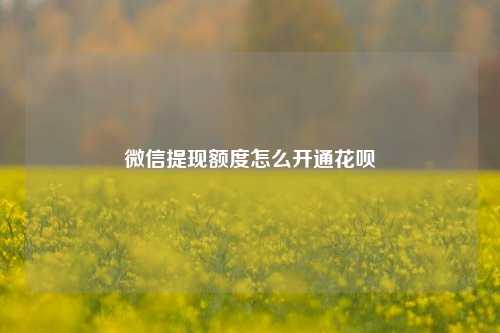 微信提现额度怎么开通花呗