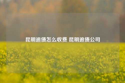 昆明追债怎么收费 昆明追债公司