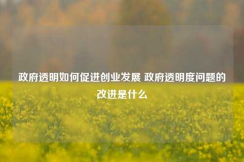 政府透明如何促进创业发展 政府透明度问题的改进是什么