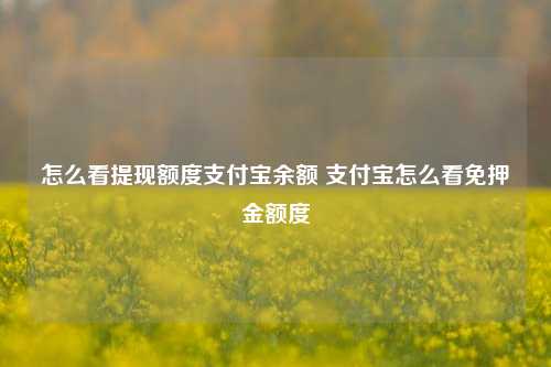 怎么看提现额度支付宝余额 支付宝怎么看免押金额度