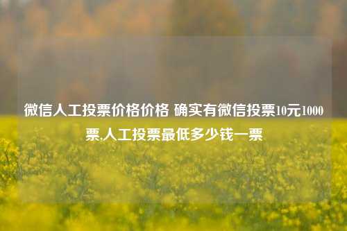 微信人工投票价格价格 确实有微信投票10元1000票,人工投票最低多少钱一票