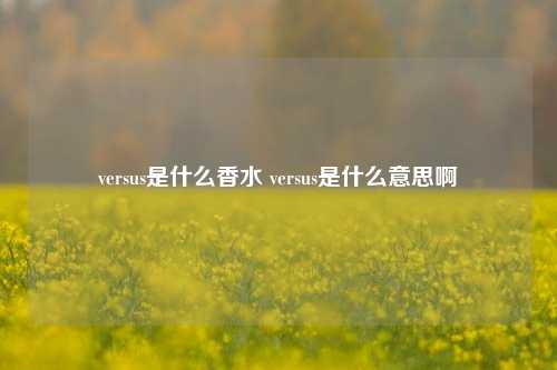 versus是什么香水 versus是什么意思啊