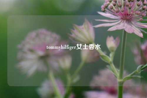 tommyhilfiger女士香水