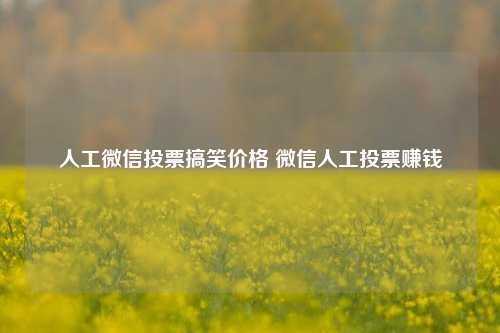 人工微信投票搞笑价格 微信人工投票赚钱