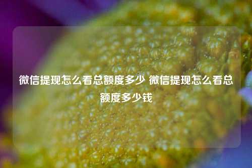 微信提现怎么看总额度多少 微信提现怎么看总额度多少钱