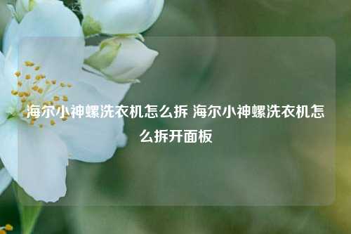 海尔小神螺洗衣机怎么拆 海尔小神螺洗衣机怎么拆开面板