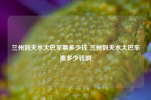 兰州到天水大巴车票多少钱 兰州到天水大巴车票多少钱啊