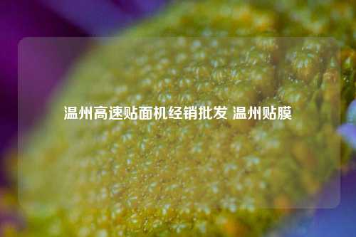 温州高速贴面机经销批发 温州贴膜