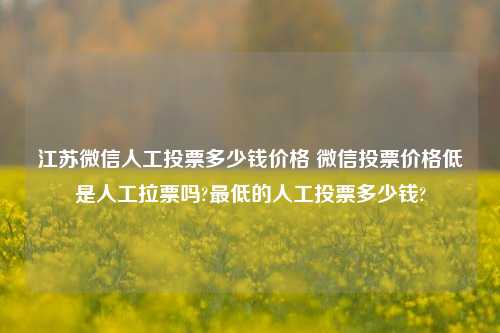 江苏微信人工投票多少钱价格 微信投票价格低是人工拉票吗?最低的人工投票多少钱?