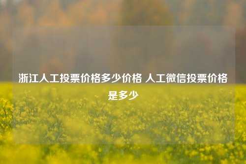 浙江人工投票价格多少价格 人工微信投票价格是多少