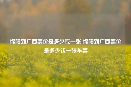 绵阳到广西票价是多少钱一张 绵阳到广西票价是多少钱一张车票