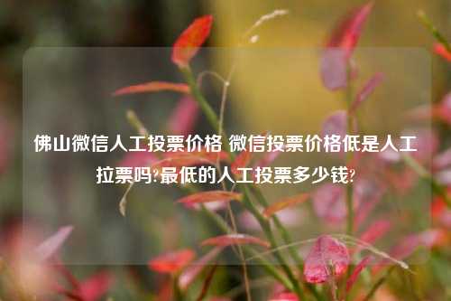 佛山微信人工投票价格 微信投票价格低是人工拉票吗?最低的人工投票多少钱?