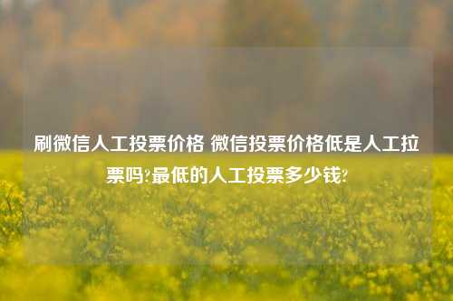 刷微信人工投票价格 微信投票价格低是人工拉票吗?最低的人工投票多少钱?